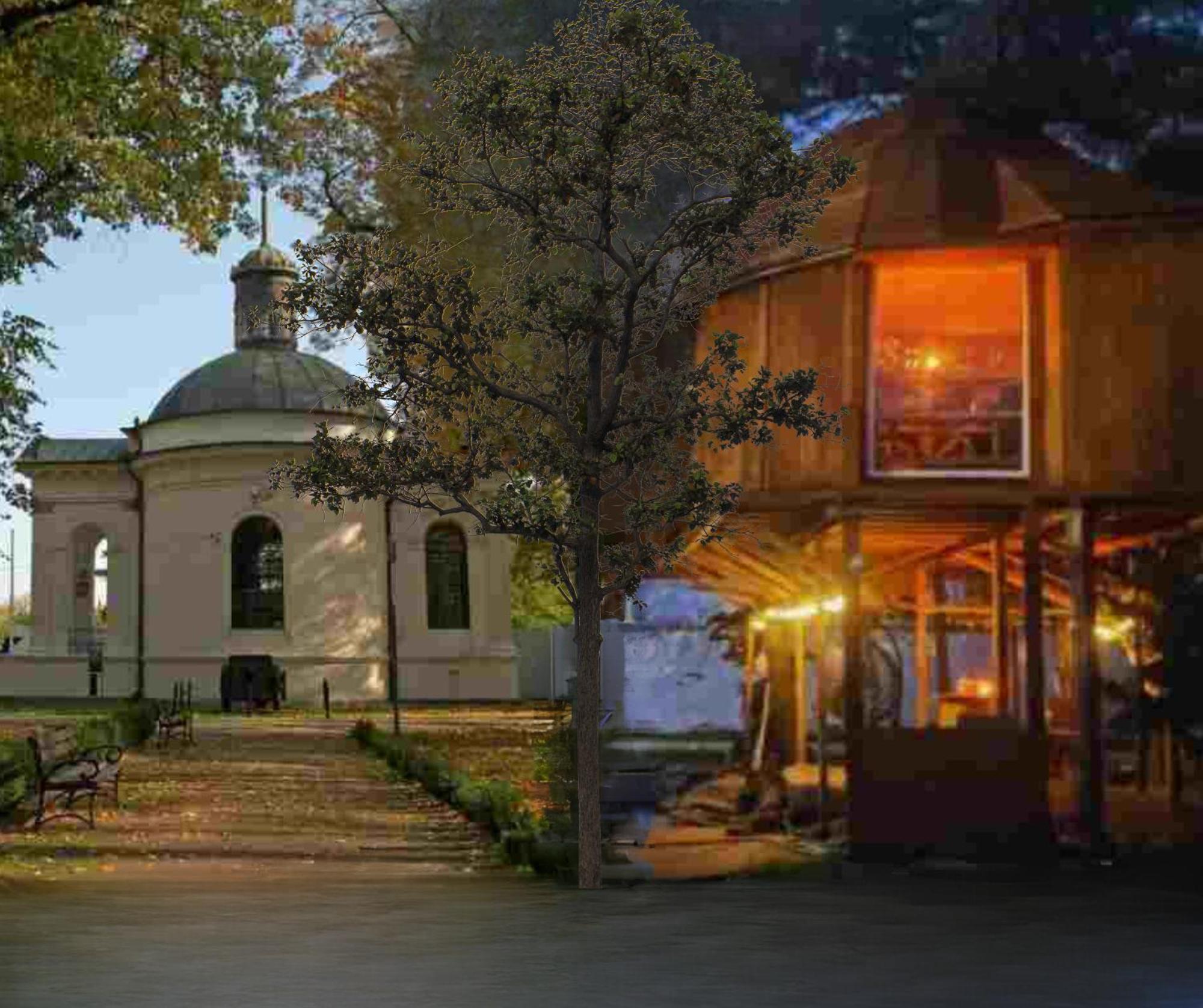 Nocleg W Koronach Drzew Kutno Esterno foto